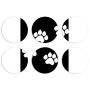 Магнитные фотопазлы круги d55 набор 6 штук 