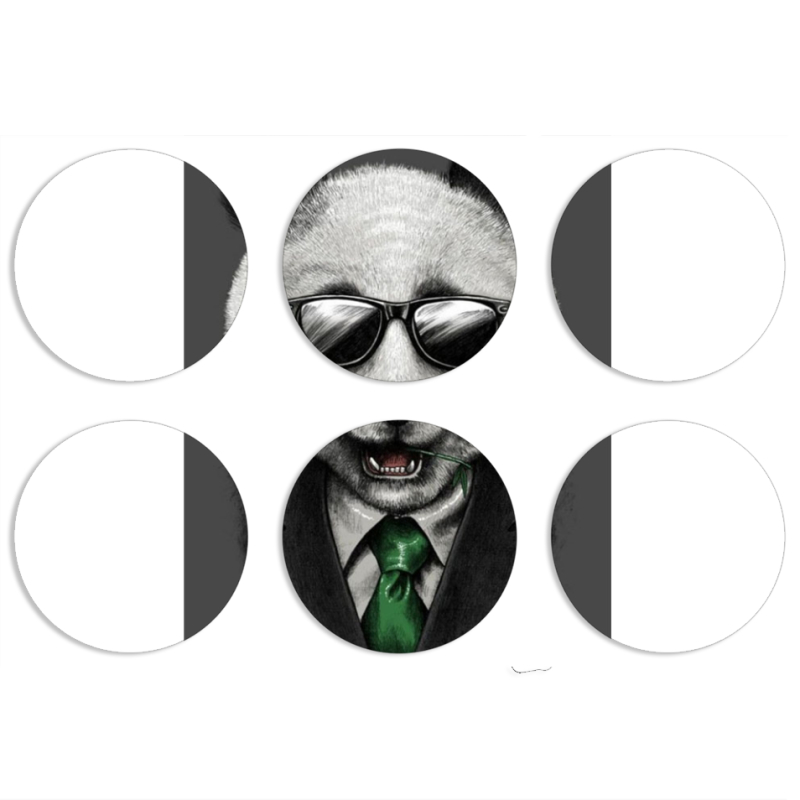 Магнитные фотопазлы круги d55 набор 6 штук 