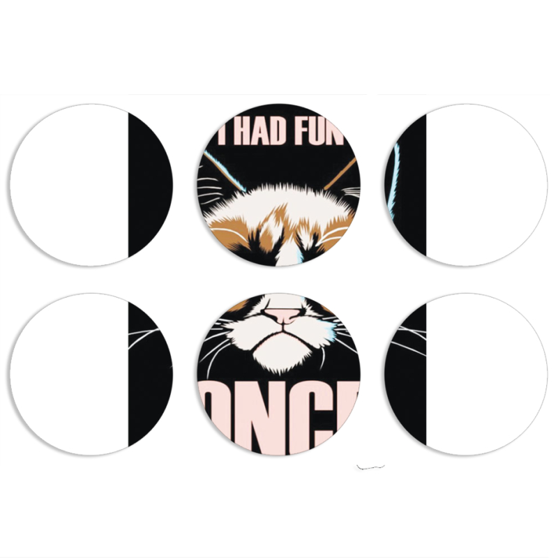 Магнитные фотопазлы круги d55 набор 6 штук 