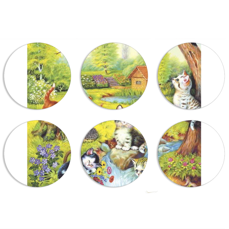 Магнитные фотопазлы круги d55 набор 6 штук 