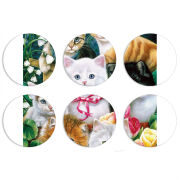 Магнитные фотопазлы круги d55 набор 6 штук 