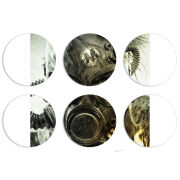 Магнитные фотопазлы круги d55 набор 6 штук 