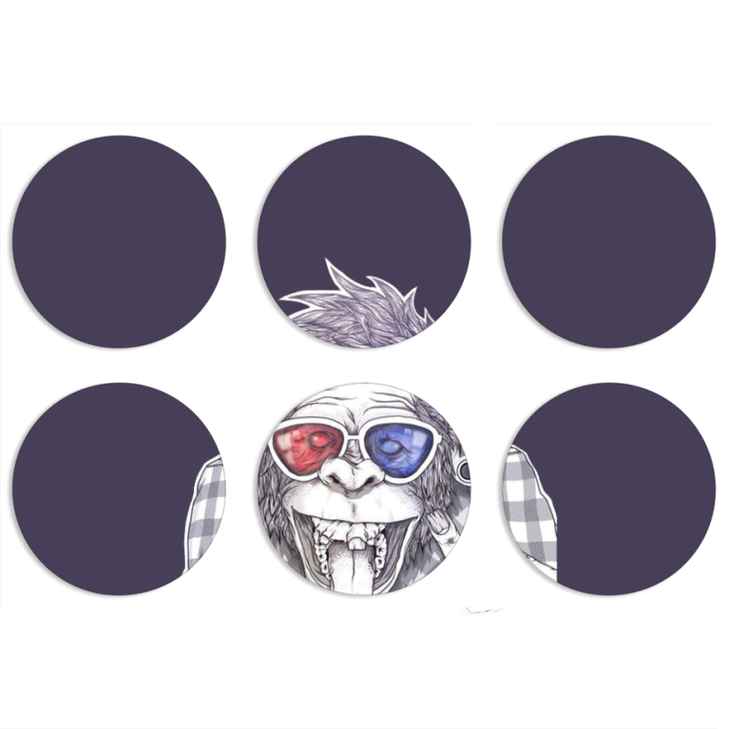 Магнитные фотопазлы круги d55 набор 6 штук 