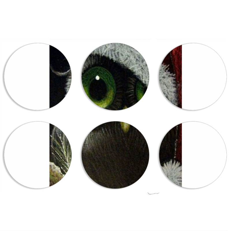 Магнитные фотопазлы круги d55 набор 6 штук Christmas Owl