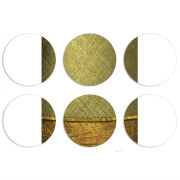 Магнитные фотопазлы круги d55 набор 6 штук 