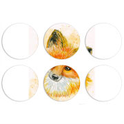 Магнитные фотопазлы круги d55 набор 6 штук 