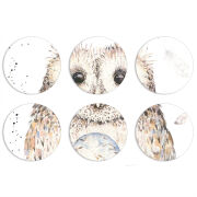 Магнитные фотопазлы круги d55 набор 6 штук 