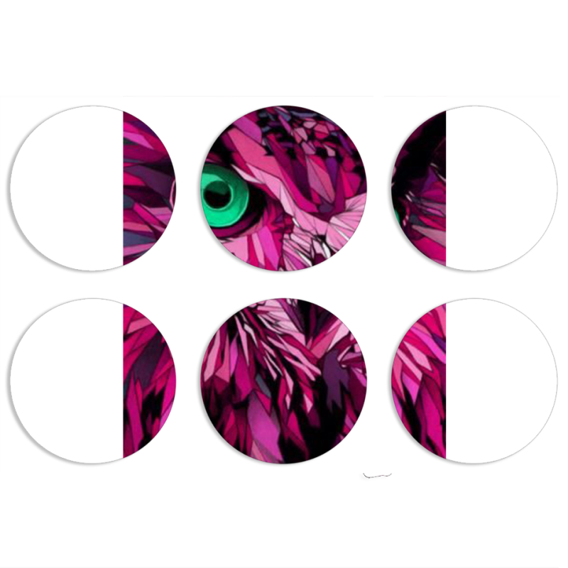 Магнитные фотопазлы круги d55 набор 6 штук 