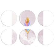 Магнитные фотопазлы круги d55 набор 6 штук 