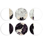 Магнитные фотопазлы круги d55 набор 6 штук 