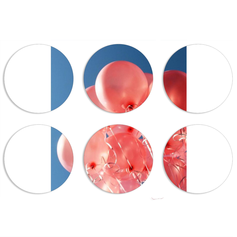 Магнитные фотопазлы круги d55 набор 6 штук 