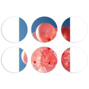 Магнитные фотопазлы круги d55 набор 6 штук 