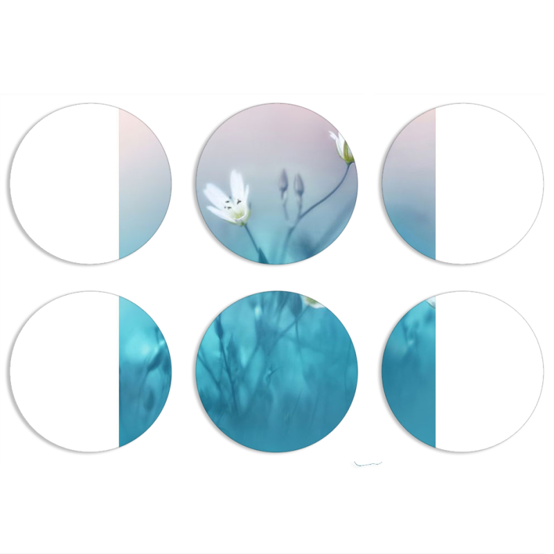 Магнитные фотопазлы круги d55 набор 6 штук 