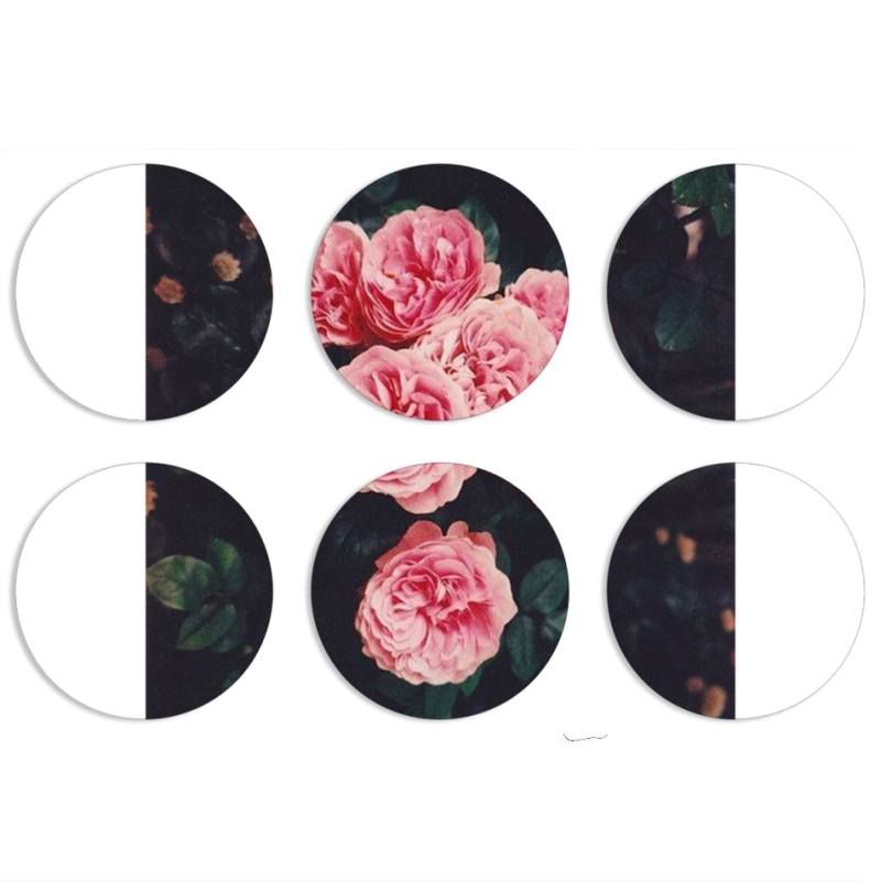 Магнитные фотопазлы круги d55 набор 6 штук 