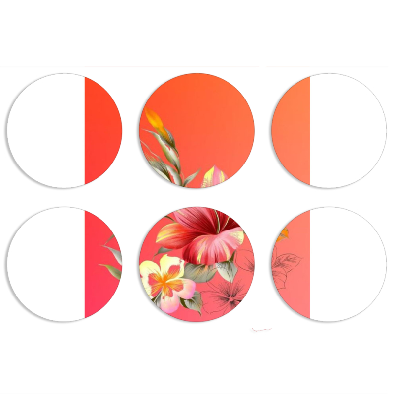 Магнитные фотопазлы круги d55 набор 6 штук 