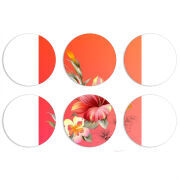 Магнитные фотопазлы круги d55 набор 6 штук 