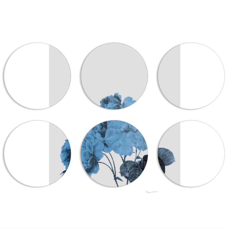 Магнитные фотопазлы круги d55 набор 6 штук 