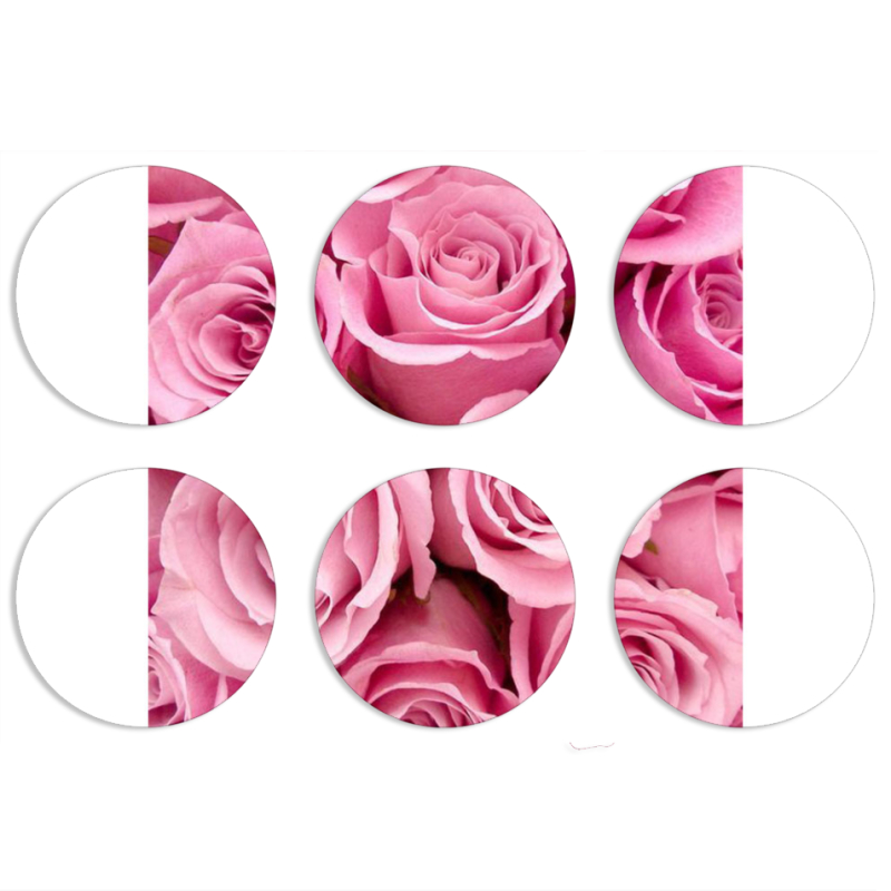 Магнитные фотопазлы круги d55 набор 6 штук 