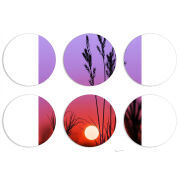 Магнитные фотопазлы круги d55 набор 6 штук 