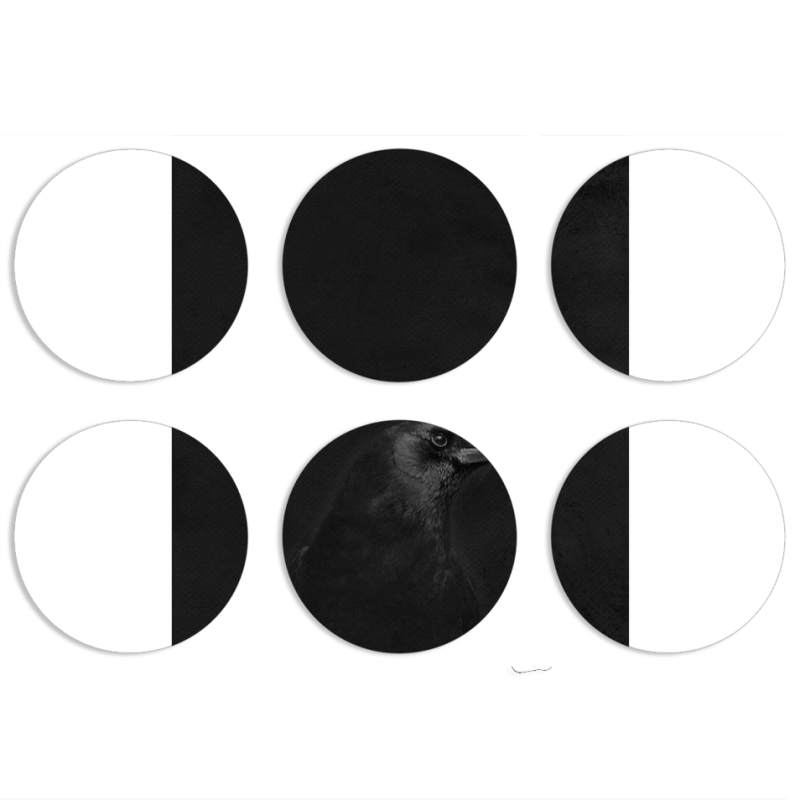 Магнитные фотопазлы круги d55 набор 6 штук 