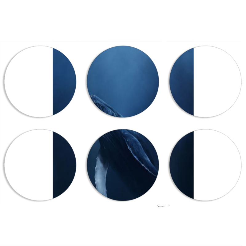 Магнитные фотопазлы круги d55 набор 6 штук 