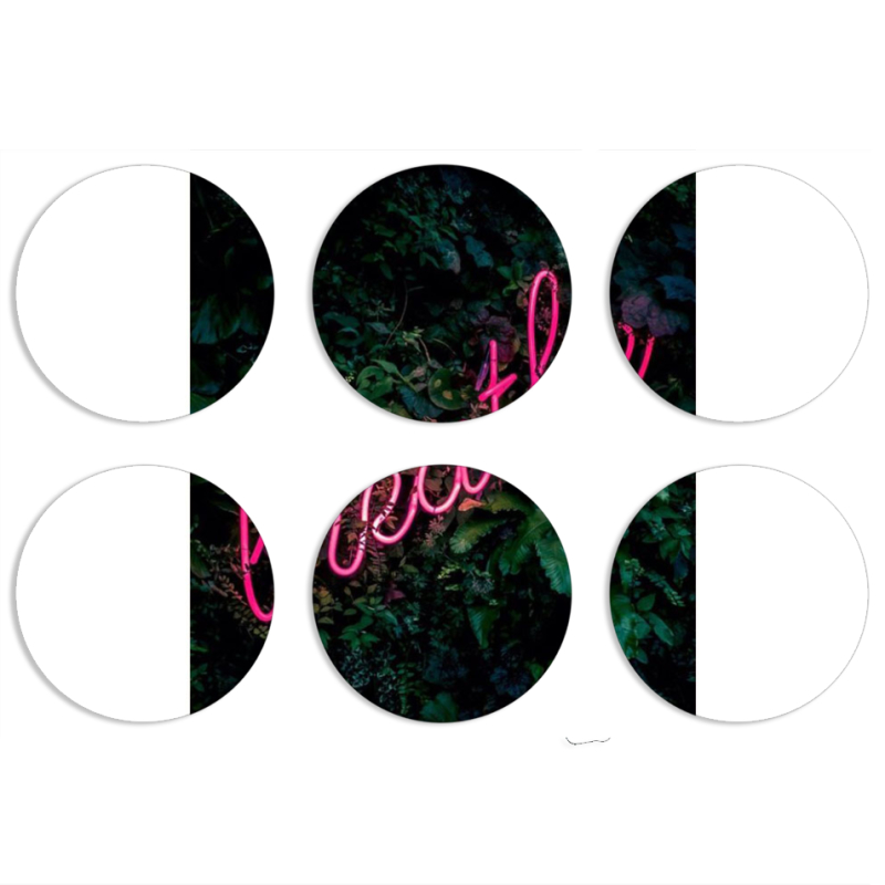 Магнитные фотопазлы круги d55 набор 6 штук 