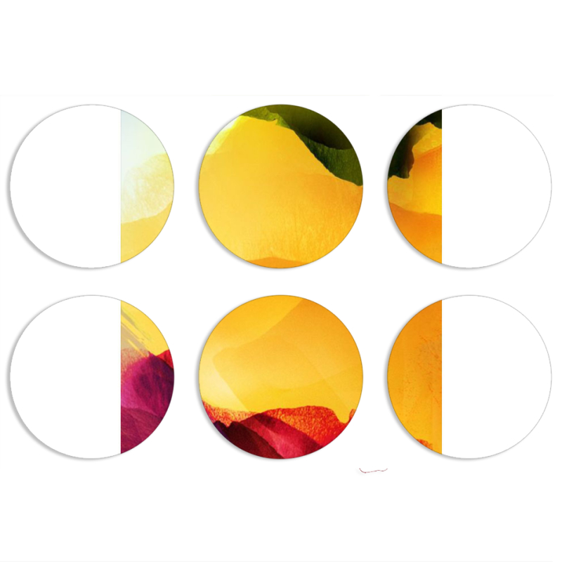 Магнитные фотопазлы круги d55 набор 6 штук 