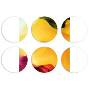 Магнитные фотопазлы круги d55 набор 6 штук 