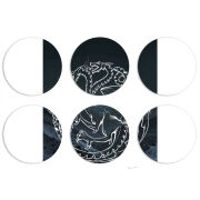 Магнитные фотопазлы круги d55 набор 6 штук 