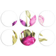 Магнитные фотопазлы круги d55 набор 6 штук 