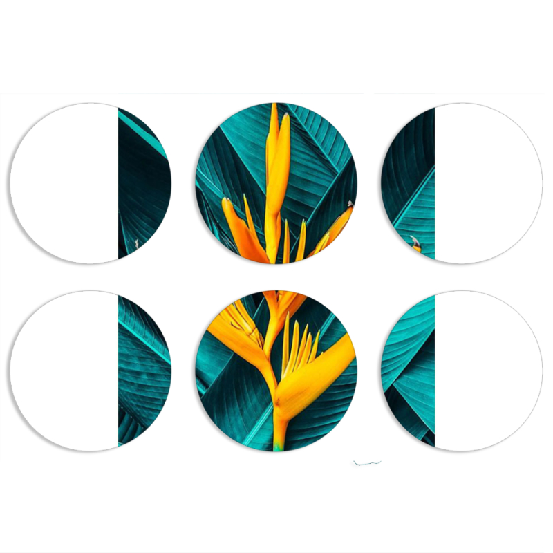 Магнитные фотопазлы круги d55 набор 6 штук 