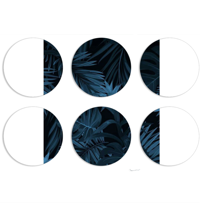 Магнитные фотопазлы круги d55 набор 6 штук 