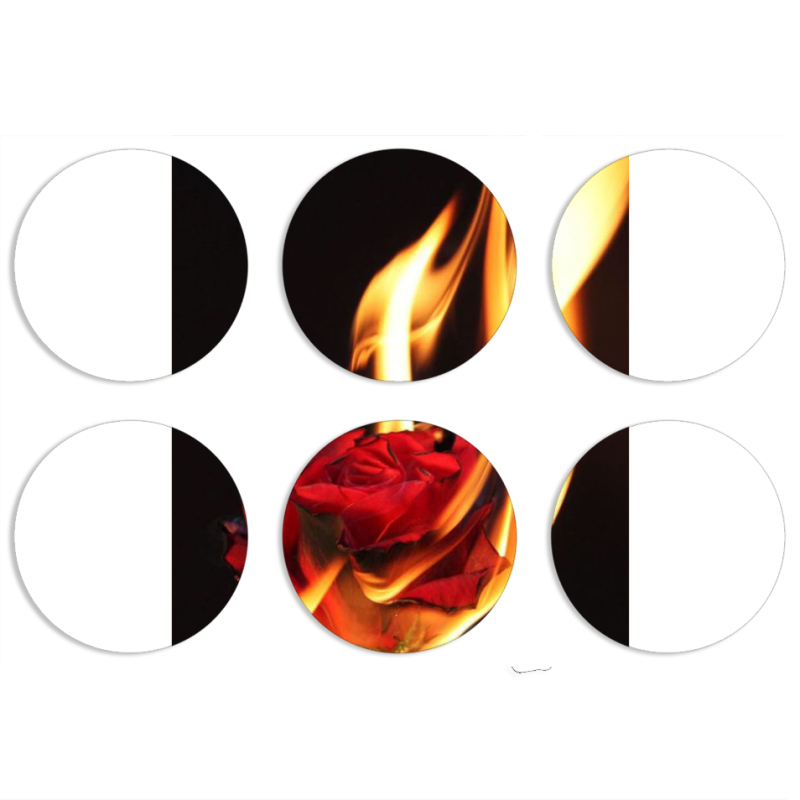 Магнитные фотопазлы круги d55 набор 6 штук 