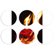 Магнитные фотопазлы круги d55 набор 6 штук 