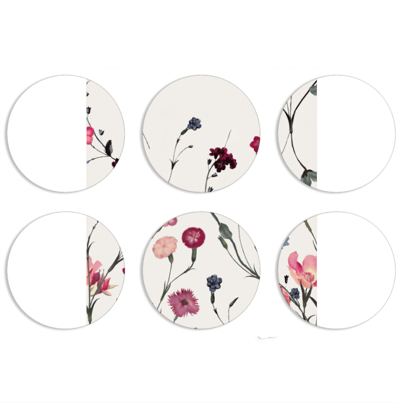 Магнитные фотопазлы круги d55 набор 6 штук 