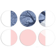 Магнитные фотопазлы круги d55 набор 6 штук 