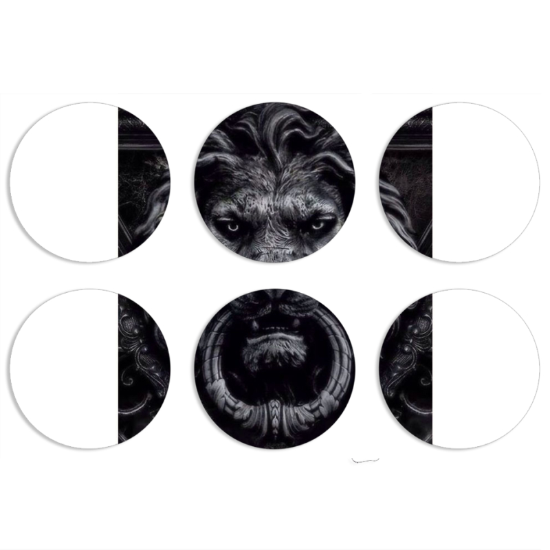 Магнитные фотопазлы круги d55 набор 6 штук 