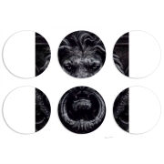 Магнитные фотопазлы круги d55 набор 6 штук 