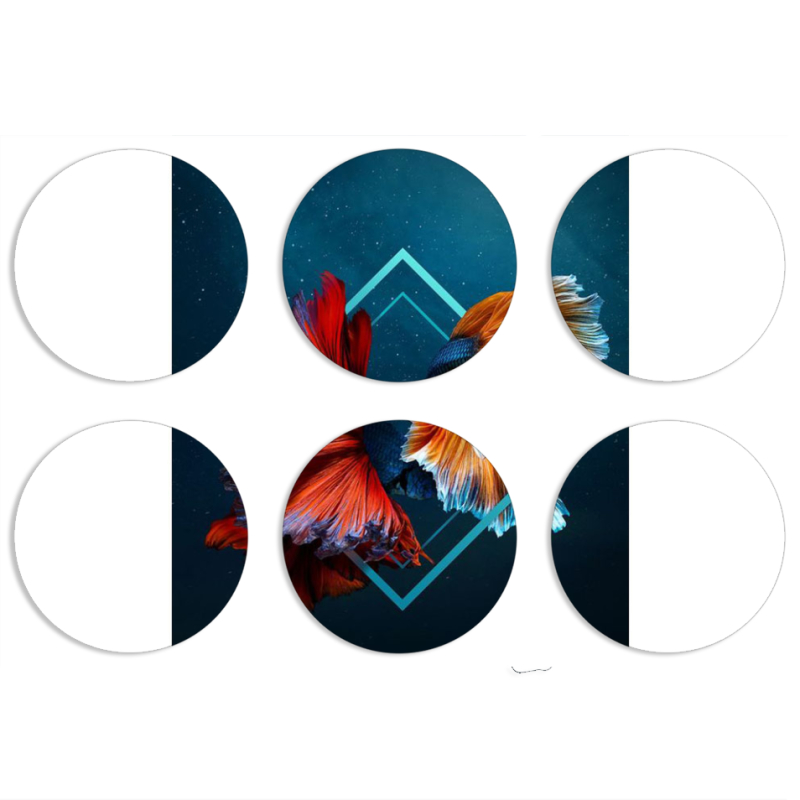 Магнитные фотопазлы круги d55 набор 6 штук 