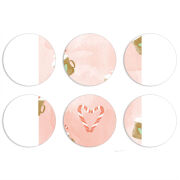 Магнитные фотопазлы круги d55 набор 6 штук 