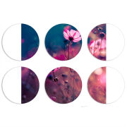 Магнитные фотопазлы круги d55 набор 6 штук 