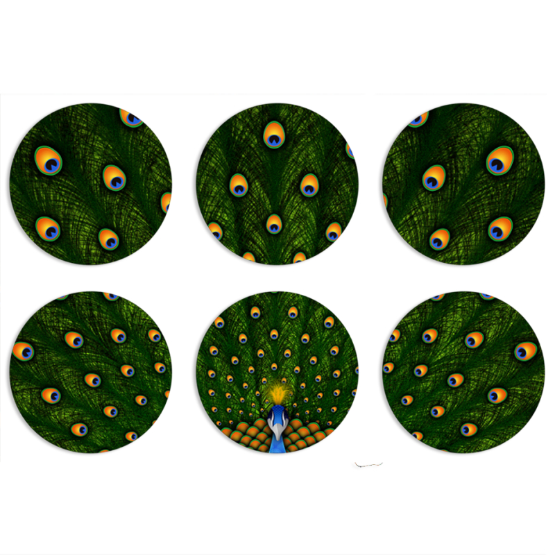 Магнитные фотопазлы круги d55 набор 6 штук Peacocks Tail