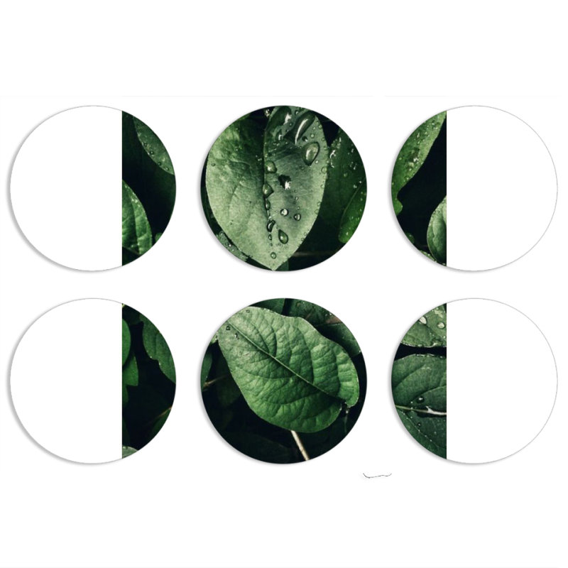 Магнитные фотопазлы круги d55 набор 6 штук 