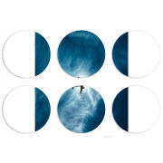 Магнитные фотопазлы круги d55 набор 6 штук 