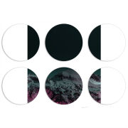 Магнитные фотопазлы круги d55 набор 6 штук 