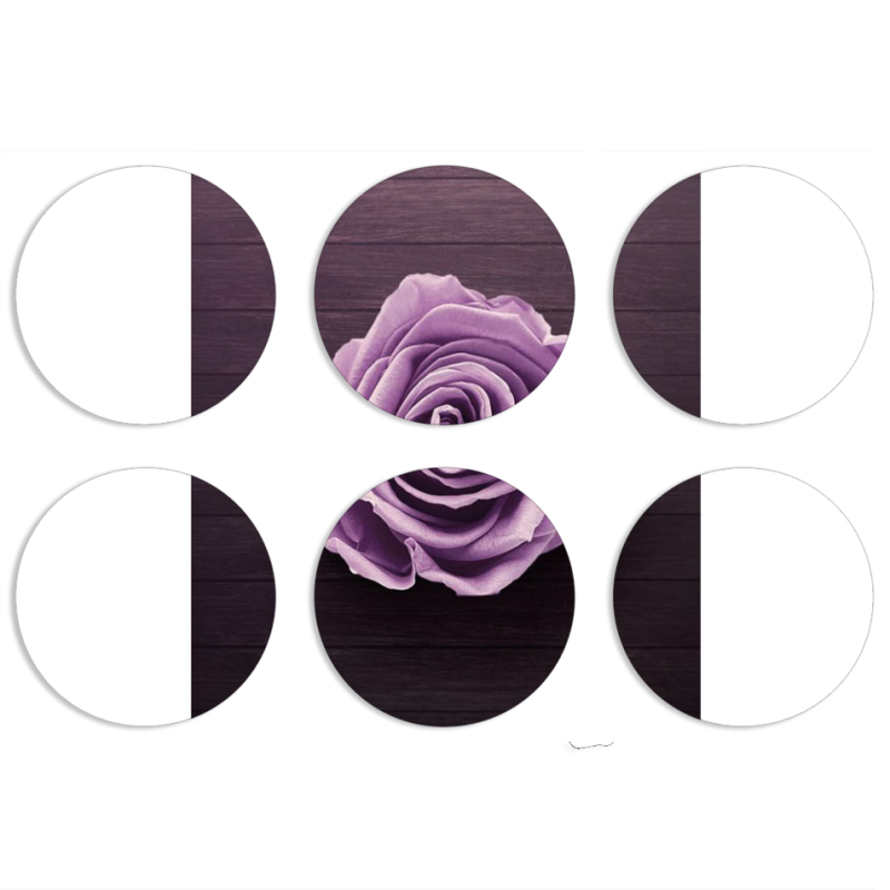 Магнитные фотопазлы круги d55 набор 6 штук 