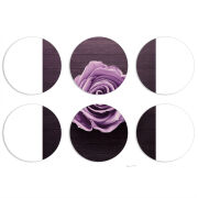 Магнитные фотопазлы круги d55 набор 6 штук 