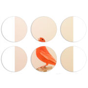 Магнитные фотопазлы круги d55 набор 6 штук 