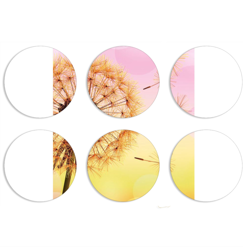 Магнитные фотопазлы круги d55 набор 6 штук 