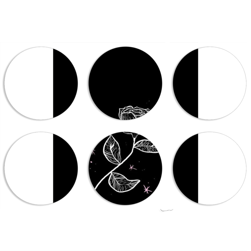 Магнитные фотопазлы круги d55 набор 6 штук 